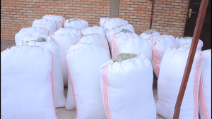 Bags Of Food Fr Pis 300x169